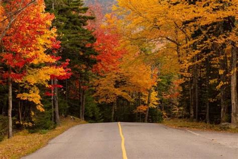 Top 4 Must-See New Hampshire Scenic Drives