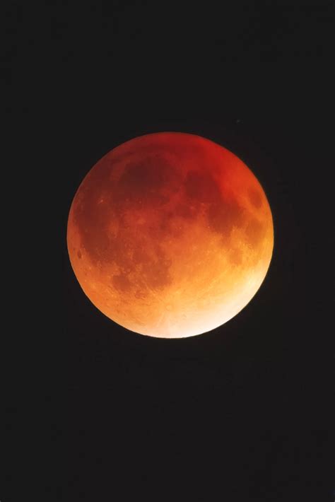 Blood Moon Lunar Eclipse Stuns Viewers Worldwide - IHA News