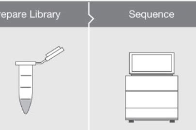 Mitochondrial Genome Sequencing | Discovery DNA