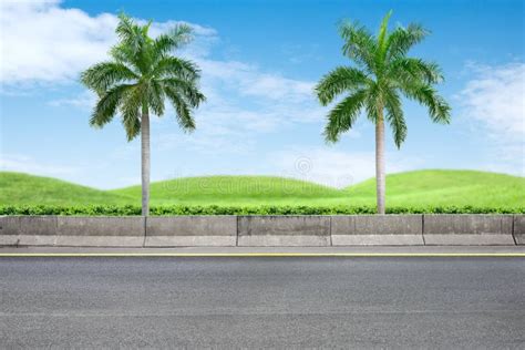 Roadside View And Grass Stock Photo Image Of White Blue 26434200