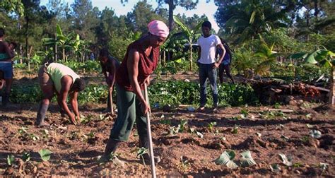 An ASJ Throwback: Fighting For Justice With Afro-Honduran Communities