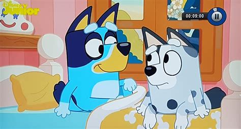 Bluey Recaps Bluey Recap The Sleepover Bestbits Muffin