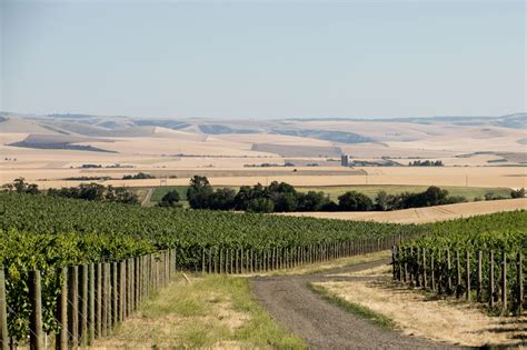 What To Do And Where To Go Wine Tasting In Walla Walla Washington