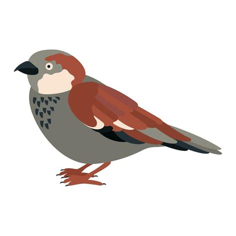 Cute Cartoon Sparrow Bird Flat Vector Illustration 23354181 Vector