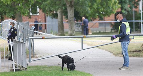 8 Sidor Man Skjuten Till Döds I Malmö