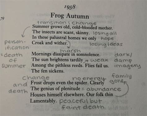 Sylvia Plaths Frog Autumn Analysis Poetry Notebooks Old Poetry