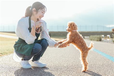 犬好きさんってどんな人？性格の特徴5つと男女別恋愛傾向を徹底解説 Anny（アニー）