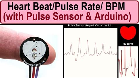 Pulse Heartbeat Rate BPM Measurement Using Arduino Pulse Sensor