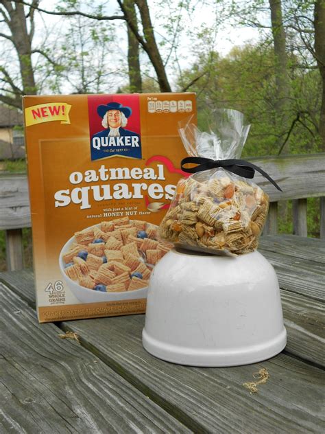 Yours Truly: Quaker Oatmeal Squares