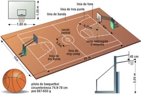 Descubrir Imagen Cancha De Basquetbol Con Medidas Y Nombres