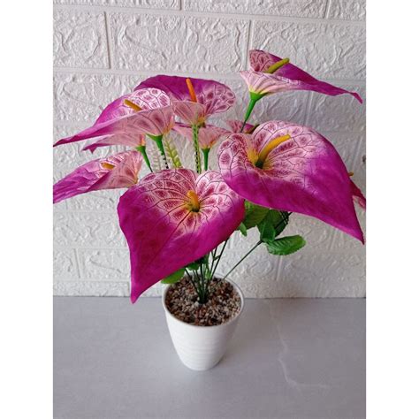 Jual Rangkaian Bunga Aron Panda Calla Lily Anthurium Kuntum Pot