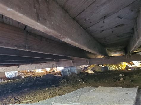 Sistering Floor Joists And Replacing The Main Girder On A Home New