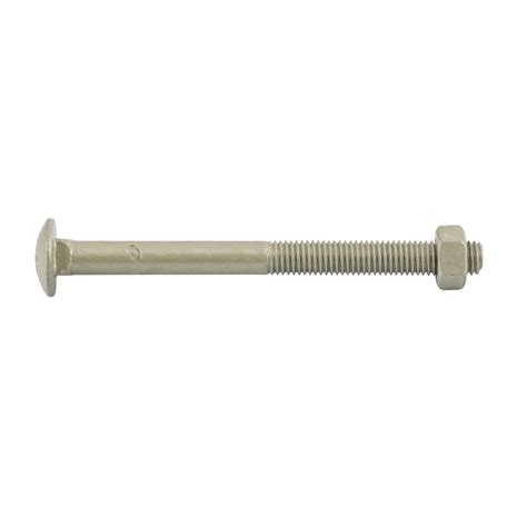 Zenith M10 X 120mm Treated Pine Cup Head Bolts And Nuts 25 Pack