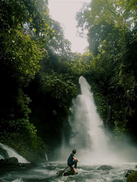 Aur Terjun Telunjuk Raung Banyuwangi