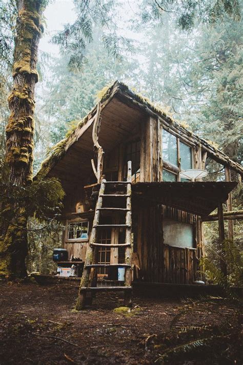 CABINOLOGY Photo Cabins In The Woods Tree House Forest House