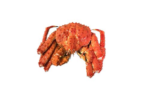 Buy Wild Caught Whole Cooked Alaskan Red King Crab Whidbey Seafoods