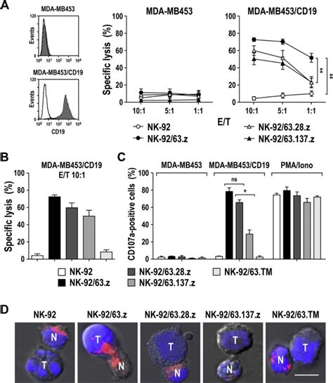 Continuously Expanding Car Nk 92 Cells Display Selective Cytotoxicity