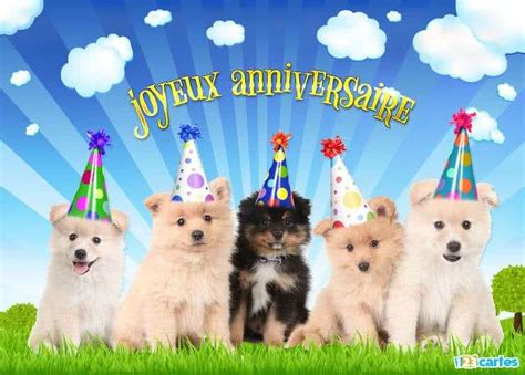 Joyeux Anniversaire Chien Humour