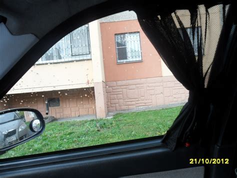 Замена тонировке-шторки — Bogdan 21104, 1,6 л, 2010 года | тюнинг | DRIVE2