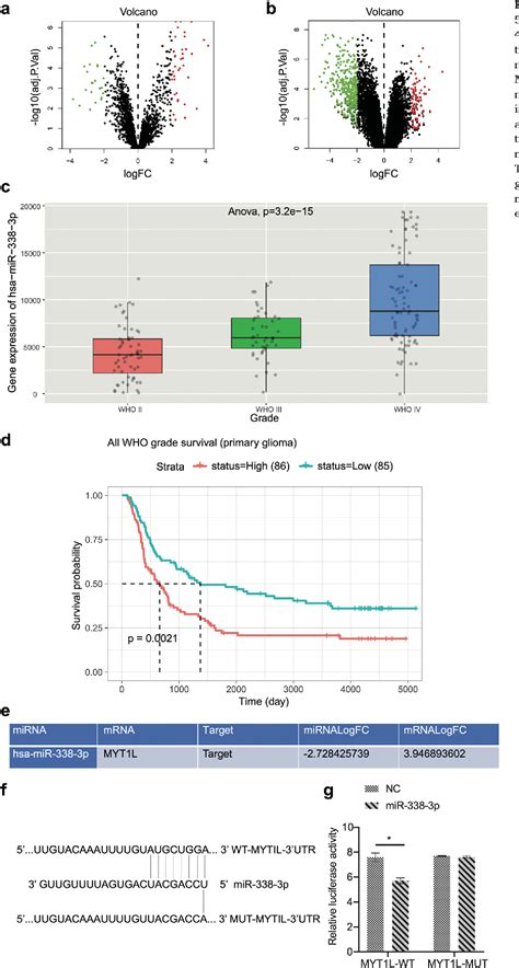 Table From Mirna P Inhibits Glioma Cell Proliferation And