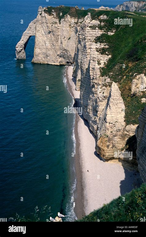White Cliffs Etretat Normandy France Stock Photo Alamy