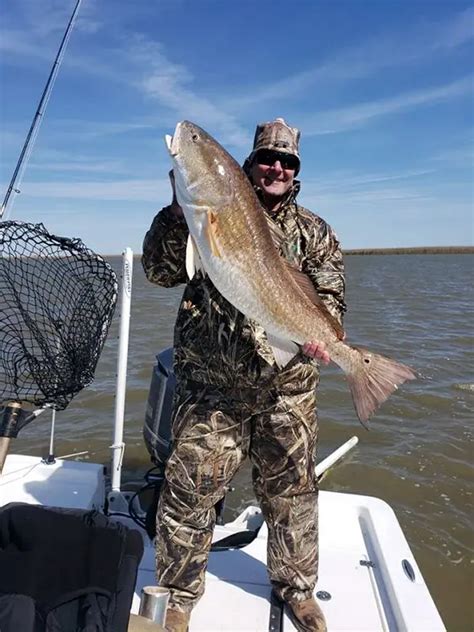 An Anglers Guide To Louisiana Redfish