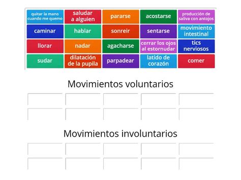 Movimientos Voluntarios E Involuntarios Ordenar Por Grupo