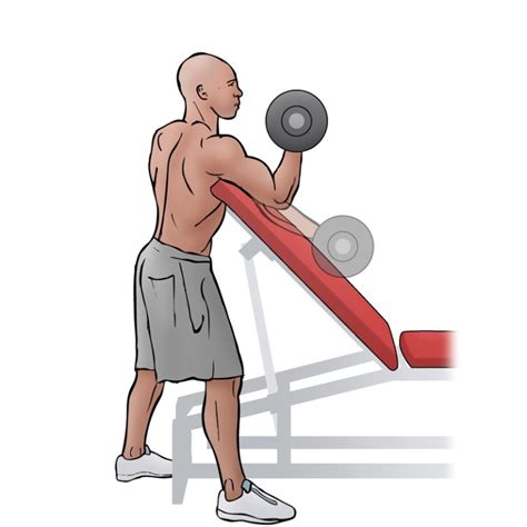 Dumbbell Preacher Curls Focused On Fit