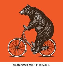 Bear Mountain Biking Illustration Design Stock Vector Royalty Free