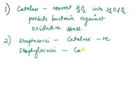 SOLVED What Is Catalase And Its Function 3 Why Is Catalase