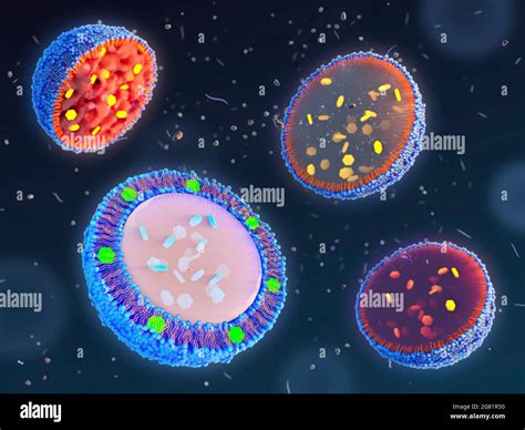 Solid lipid nanoparticle hi-res stock photography and images - Alamy