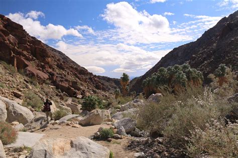 Borrego Palm Canyon Falls Waterfalls In A Fan Palm Oasis