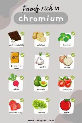 A list of the top 40 foods high in Chromium - LazyPlant