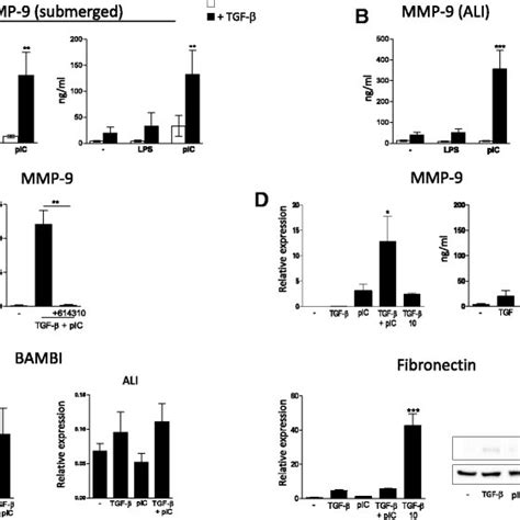 Analysis Of Mmp Production By Airway Epithelial Cells Exposed To