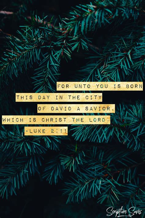 Pin On Putting Christ Back Into Christmas Scripture Quotes