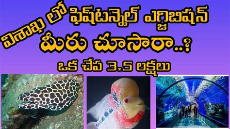 Under Whater Fish Tunnel Exhibition In Vizag Fish Aquarium In