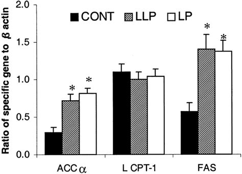 Hepatic Gene Expression In Offspring Of Mothers Fed Protein Cont