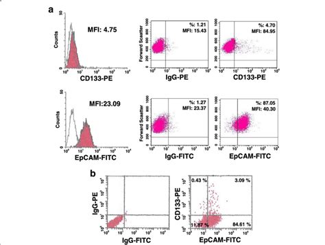 Expression Of Cd And Epcam In Mda Mb Cells In A Representative