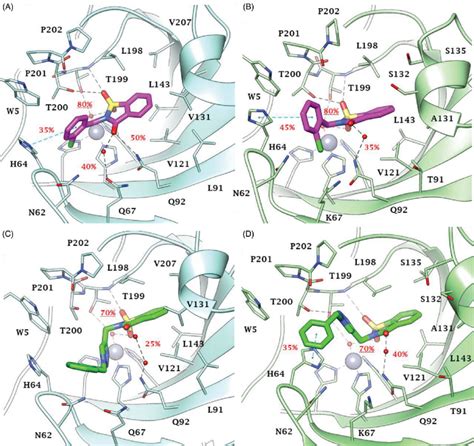 Predicted Binding Mode Of Compounds 2 And 46 Into A C Ca Ix And B Download Scientific