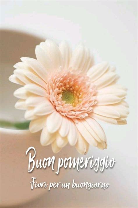 Pin By Susanna Gatto On Buon Pomeriggio Good Morning Flowers Good