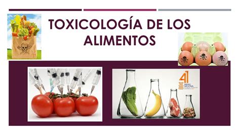 Toxicología De Los Alimentos By Andrea Mishel Blacio Mite Issuu