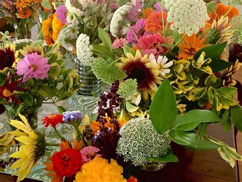 Farm Fresh Flower Delivery Subscriptions Santa Rosa Ca