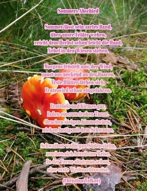 Gedicht Des Monats 2023 Garten Der Poesie