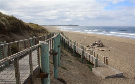 Bodega Dunes Beach in Bodega Bay, CA - California Beaches