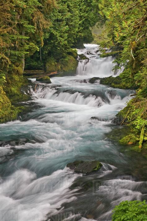 Usa Oregon Willamette National Forest View Of Mckenzie River Rapids