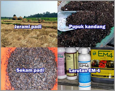 Cara Membuat Pupuk Bokashi Organik Dari Jerami Padi Dasar Dasar Pertanian