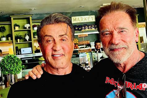 ¿qué Nuevo Proyecto Ultiman Juntos Sylvester Stallone Y Arnold