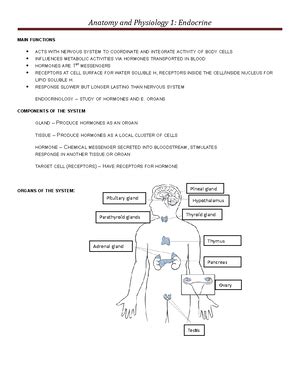 Solved What Are The 3 Stages Of Labor Human Anatomy And Physiology