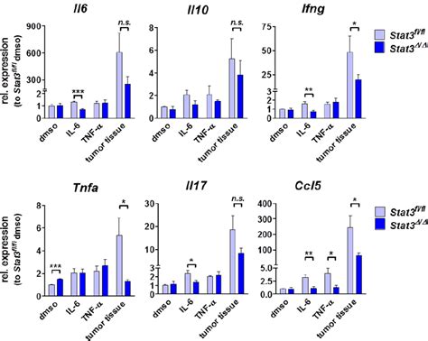 Cytokine Expression Profile In Vitro And In Vivo Mrna Levels Were