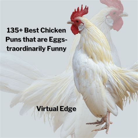 140 Best Chicken Puns That Are Eggs Traordinarily Funny Virtual Edge